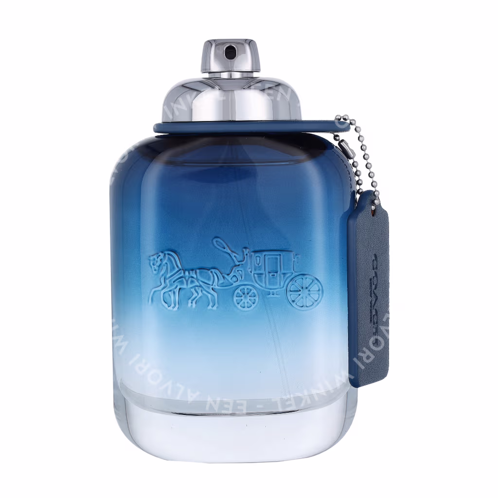 Coach Coach Blue Edt Spray