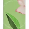 E.Arden Green Tea Lotus Edt Spray 100ml  verpakking