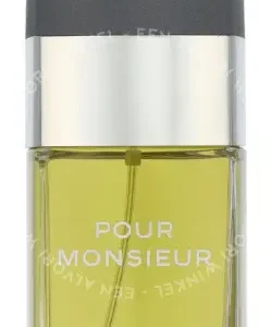 Chanel Pour Monsieur Edt Spray 100ml  fles