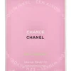 Chanel Chance Eau Fraiche Edt Spray 100ml  verpakking