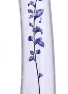Kenzo Flower Ikebana Indigo Edp Spray 75ml  fles