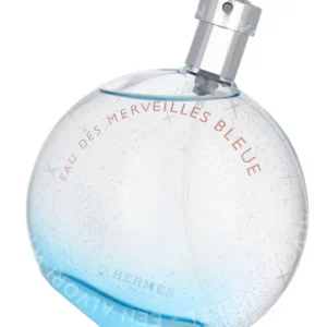 Hermes Eau Des Merveilles Bleue Edt Spray 100ml  fles