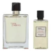 Hermes Terre D'Hermes Giftset 180ml Edt Spray 100ml/Shower Gel 80ml fles