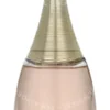 Dior J'Adore Eau Lumiere Edt Spray 100ml  fles