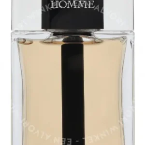 Dior Homme Edt Spray 100ml  fles