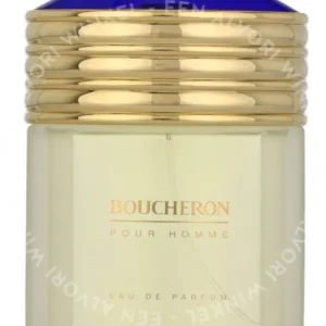Boucheron Pour Homme Edp Spray 100ml  fles