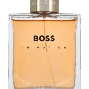 Hugo Boss In Motion Original Edt Spray 100ml  fles