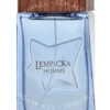 Lolita Lempicka Homme Edt Spray 100ml  fles