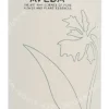 Aveda Shampure Hand And Body Wash 1000ml Calming Aroma verpakking