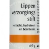 Dr. Hauschka Lip Care Stick 4.9g  verpakking